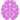 Brain